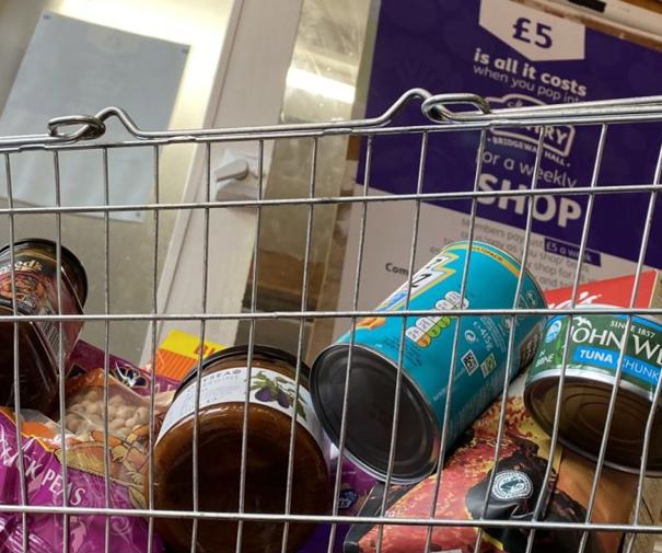 collection of tinned food inside a shopping basket 