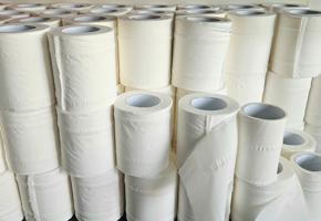 large collection of toilet roll