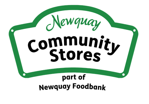 Newquay Logo Options