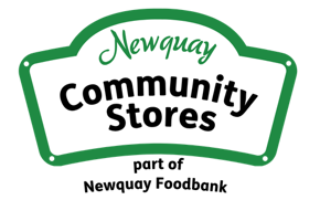 Newquay Logo Options
