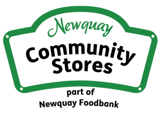 Newquay Logo Options
