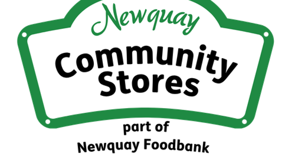 Newquay Logo Options