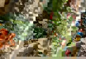 close up of green vegetables in sacks
