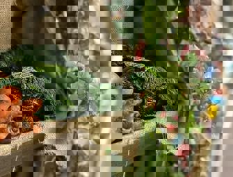 close up of green vegetables in sacks