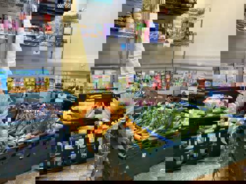 A photo of the Pantry with a Sunflower in a vase, spring onions in the foreground and cans and cereals on shelves in the background