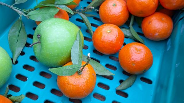 apples and tomatoes together in a crate